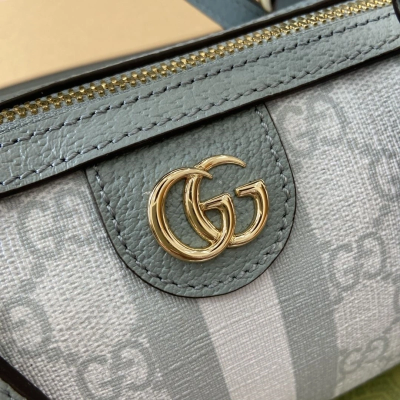 Gvc*1 speedy bags 4036c-3478