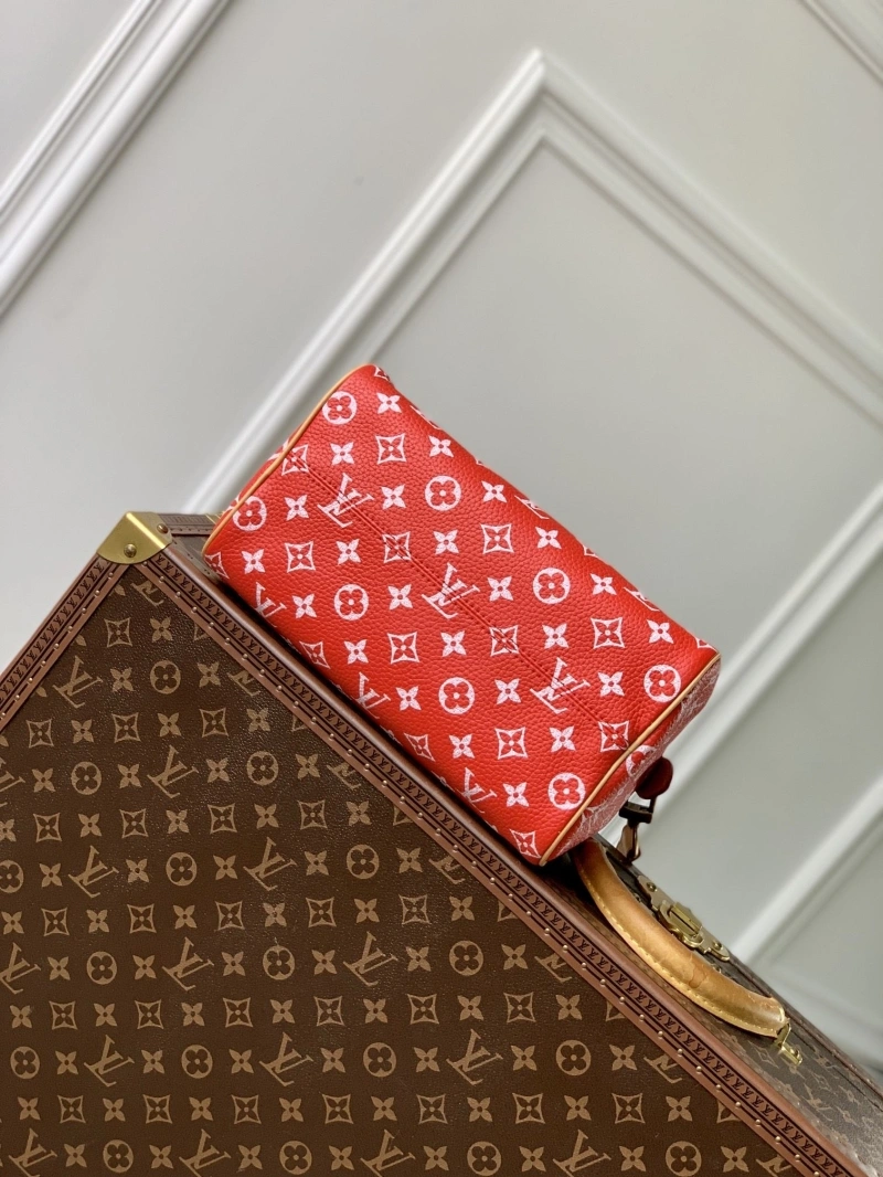 LV Speedy Bags 4048I-0158