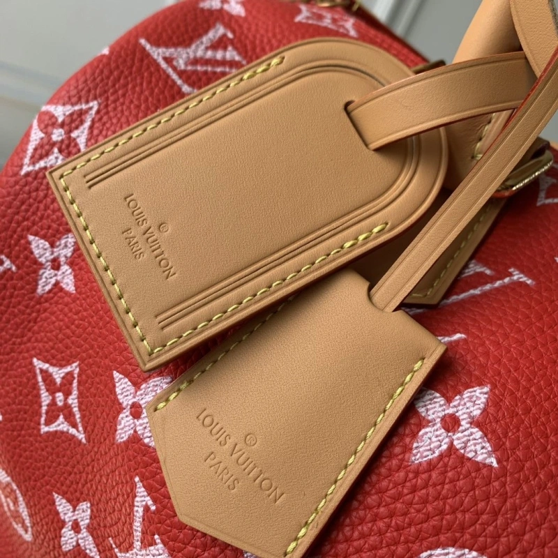LV Speedy Bags 4048I-0159