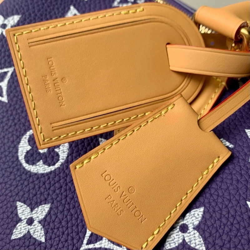 LV Speedy Bags 4048I-0405