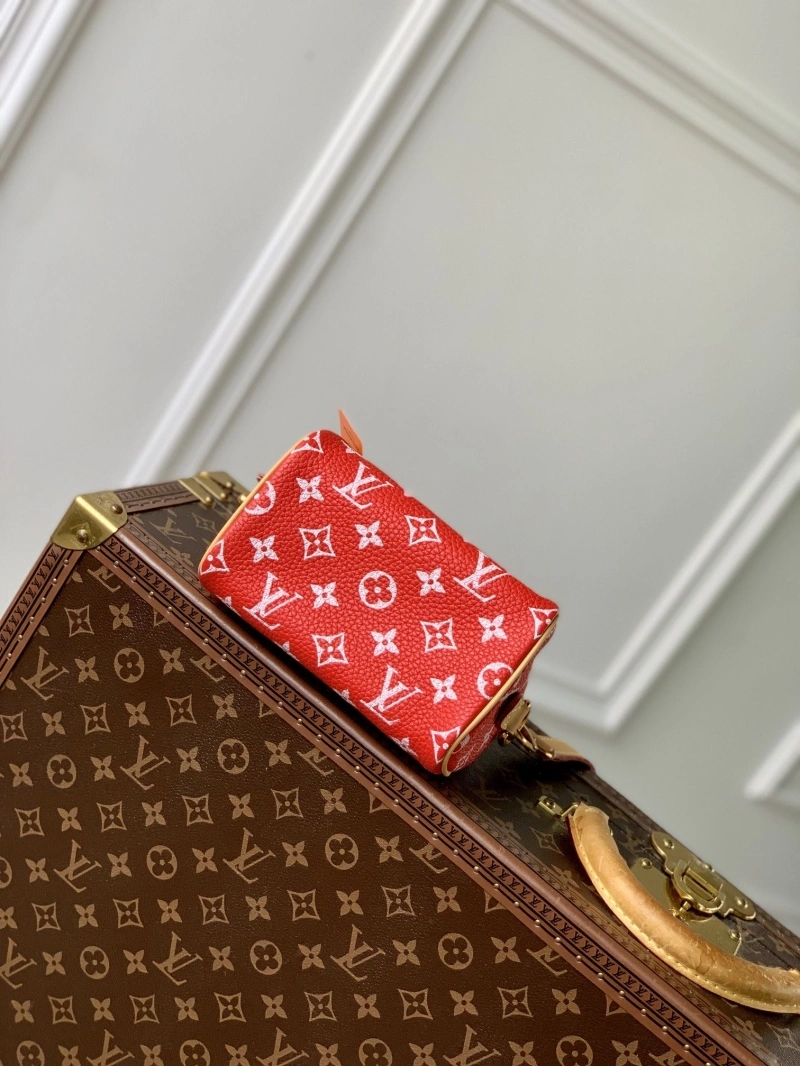 LV Speedy Bags 4048I-0428