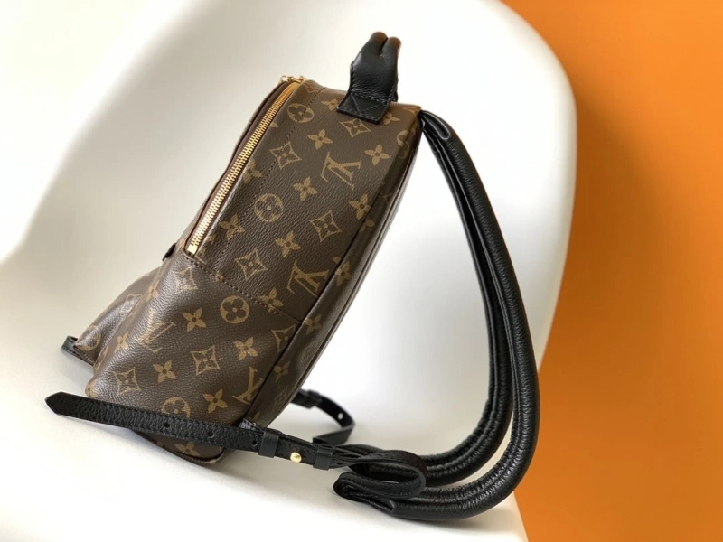 LV Backpacks 4056D-0298