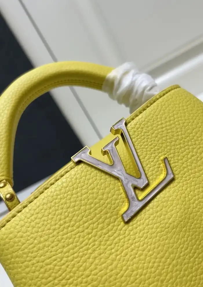 LV Capucines Bags 4224-0677