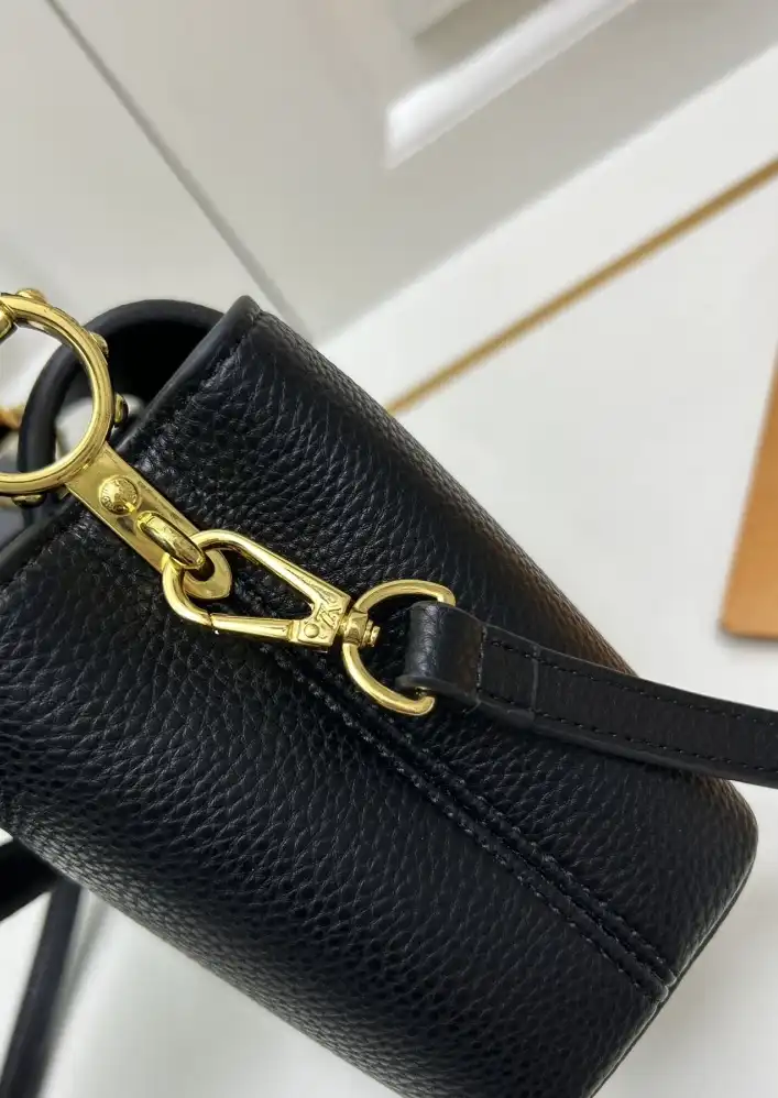 LV Capucines Bags 4224-1387