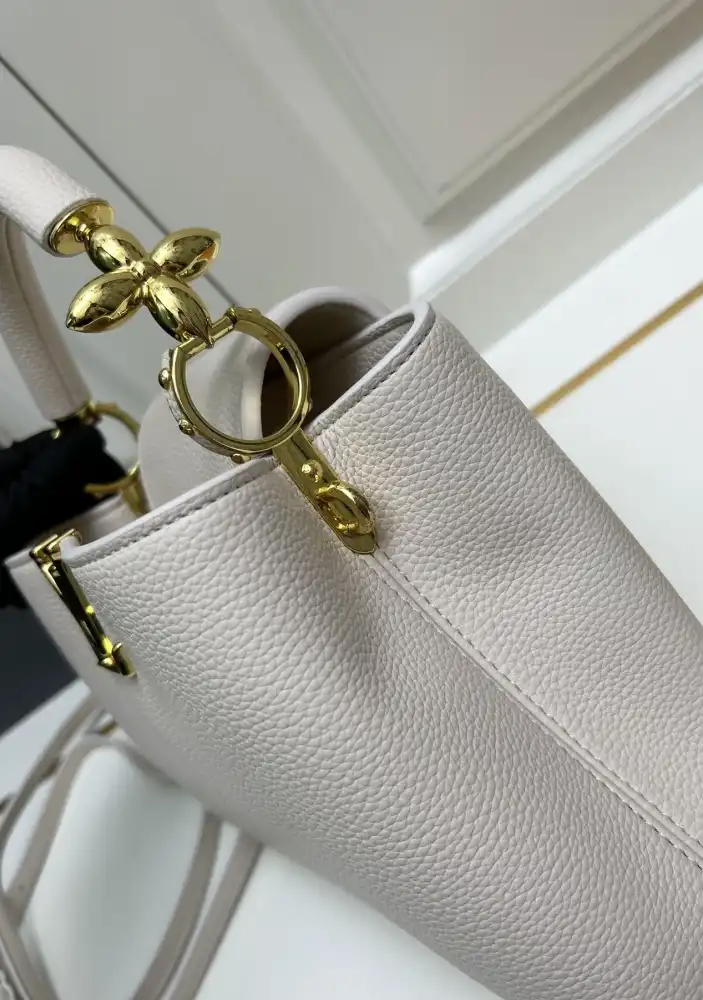 LV Capucines Bags 4224-1389