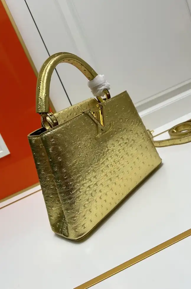 LV Capucines Bags 4224-1765