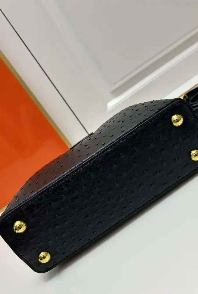 LV Capucines Bags 4224-1768