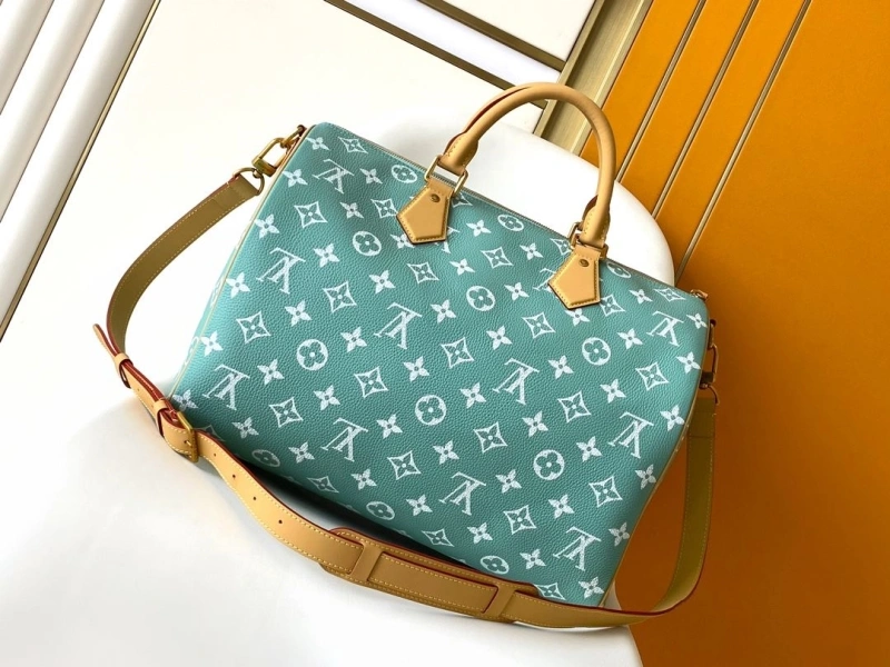 LV Travel Bags 4233A-1570