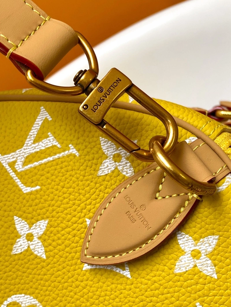 LV Travel Bags 4233A-1571