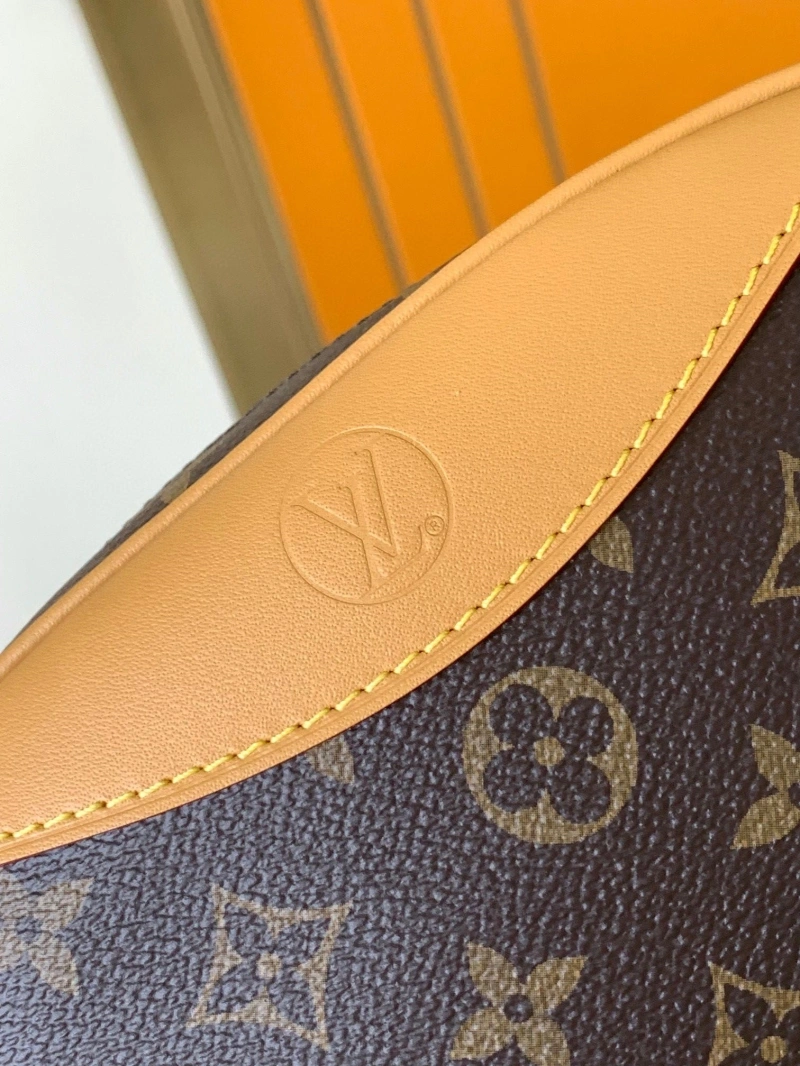 LV Satchel bags 4233G-0584