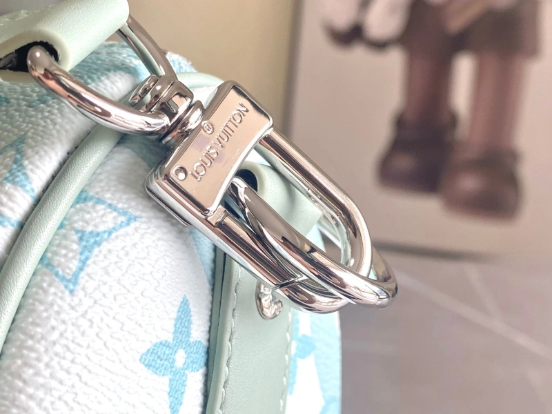 LV Speedy Bags 4233H-1005