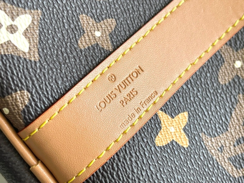 LV Travel Bags 4233H-1009