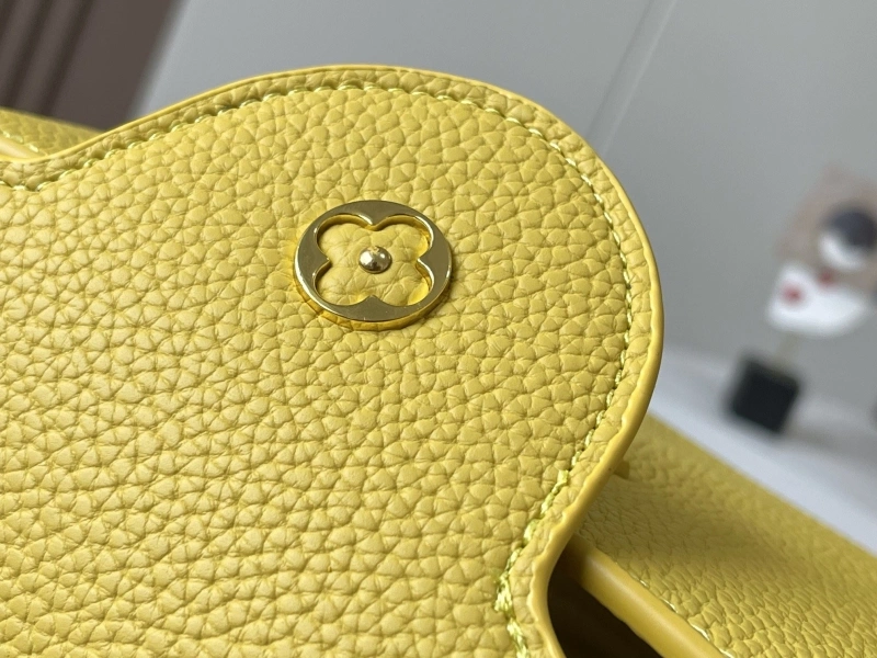 LV Capucines Bags 4233H-1224
