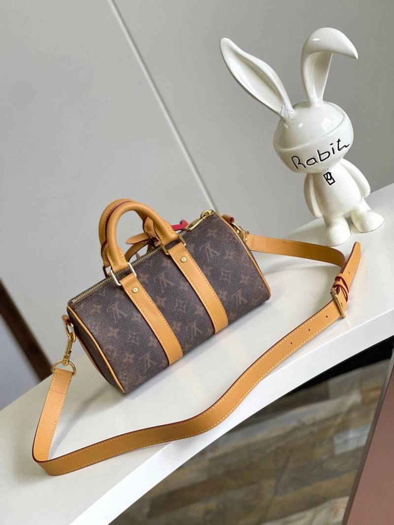 LV Speedy Bags 4233H-2110