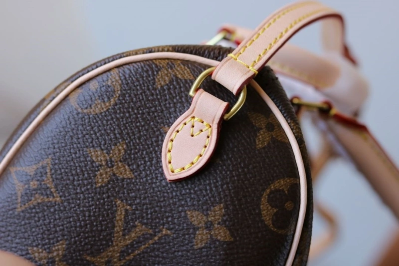 LV Speedy Bags 4233H-2437