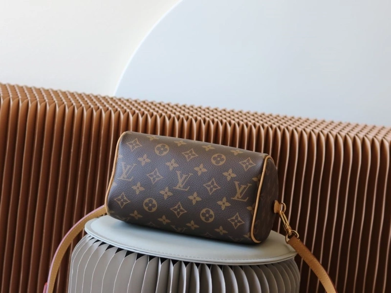 LV Speedy Bags 4233H-2438