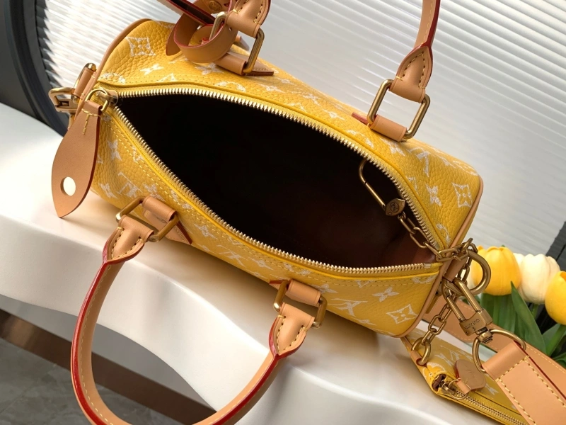 LV Speedy Bags 4233H-2566