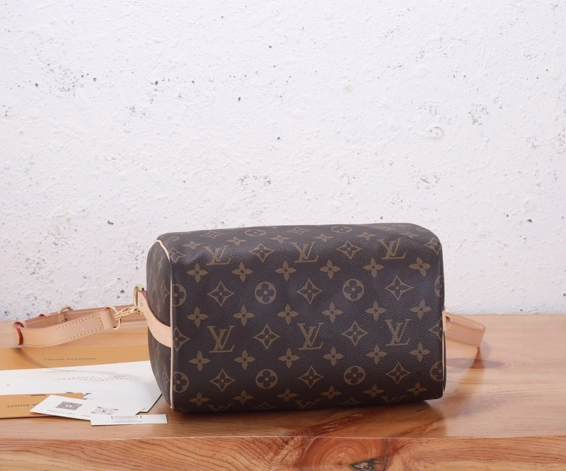 LV Speedy Bags 4233H-2602
